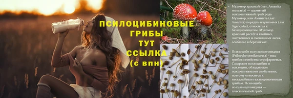 ALPHA PVP Медногорск