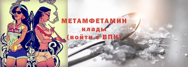 шишки Мегион