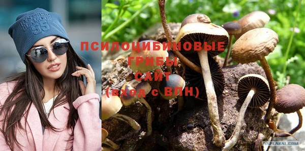 Альфа ПВП Медвежьегорск