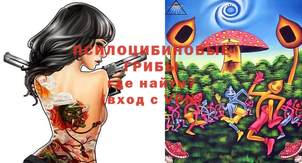 шишки Мегион