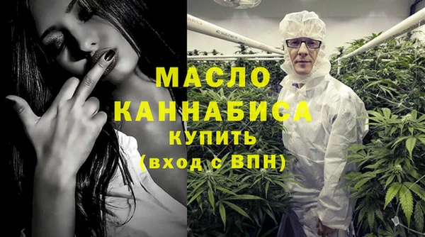 шишки Мегион
