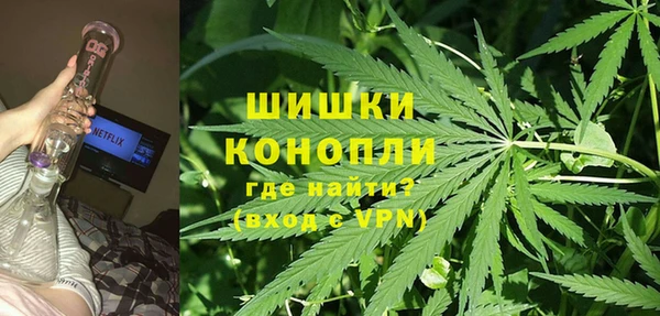 шишки Мегион