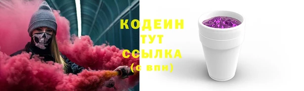шишки Мегион