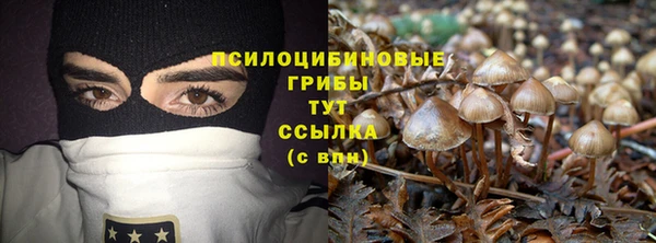дживик Беломорск