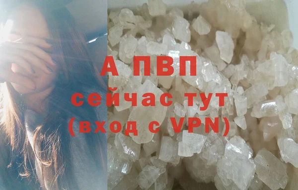 шишки Мегион