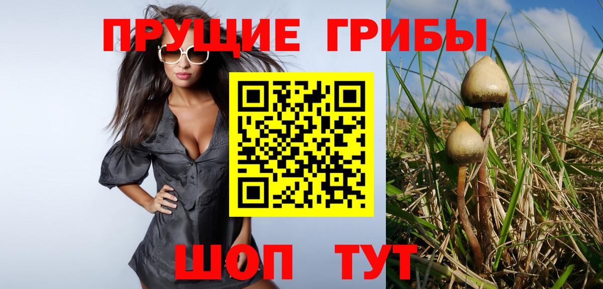 Холмск  Псилоцибиновые грибы GOLDEN TEACHER  купить наркотики сайты  Вход с VPN 