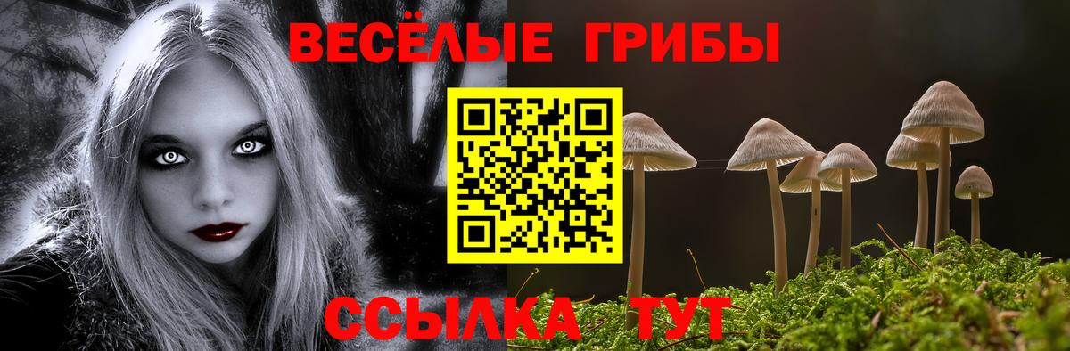 Псилоцибиновые грибы прущие грибы Холмск
